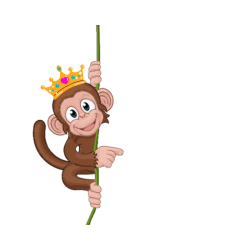 monkey with rope